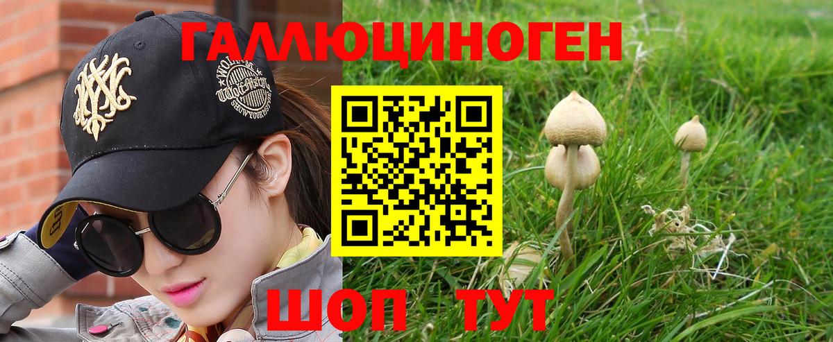 Псилоцибиновые грибы Psilocybe  Вход с VPN  Вятские Поляны  Псилоцибиновые грибы Cubensis 