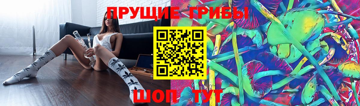 Псилоцибиновые грибы Psilocybine cubensis Вятские Поляны